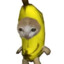 bananacat