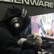 活著就為了給孫子當爺-