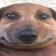 взаимная похвала