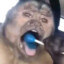 Macaco.chupetão