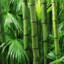 Bamboo Gaming