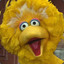 Big Bird