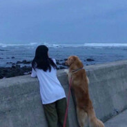 介个不可以吃！