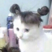 Pupuha Steam avatar
