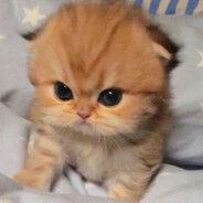 PuPI