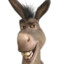 Hannu_hanhi
