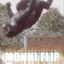 MONKI FLIP