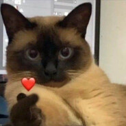 Wefus1 - steam id 76561199179418046