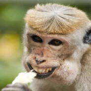 @ - steam id 76561199631110985