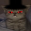 DxrkSecr3ts