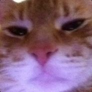Саня-Санёк - steam id 76561197967971652