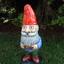 Gned The Gnome