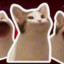 PopCatHaha