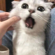 世界第一精神顶顶稳定