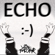 THE 𝔼ℂℍ𝕆 IN THE MIRROR