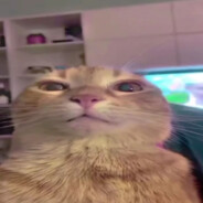 голый кузя лакомк