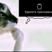 недодолина ларис