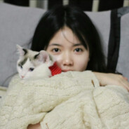 隔壁那家猪五花