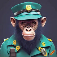 SAFEZONE BORDER PATROL