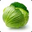 LilCabbage