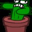 Mr.cactus