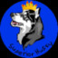 Superior Husky