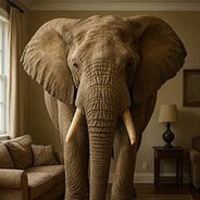 Elefante en la habitación avatar