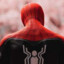 spider boy