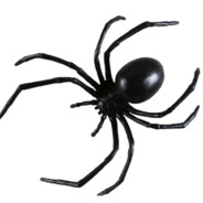 Halloween plastic spider