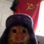 gatocondroga