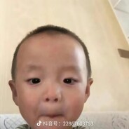 盖世英熊