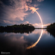 无敌的豌豆射手