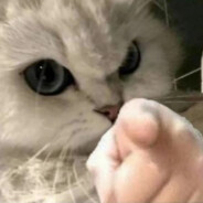 驾着王源送的烟，来给头七的队友上花圈