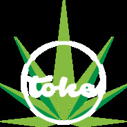 CurseForge profile picture for @Toke