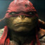 RAPHAEL