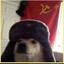 ☭ Perro Comunista ☭;:;: