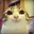 S M U G catto