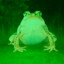 Nightvision Frog