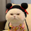 来咯