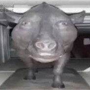 Alax 500ping boss KFC 100%hacker