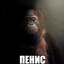 боюсь дiвчат