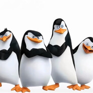 零豆零通的一号位