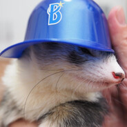 Ferret ☦'s Avatar