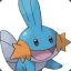 Mudkip