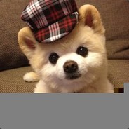 喝着火锅唱着歌