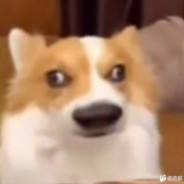 乌拉乌拉乌拉西