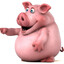 Pig