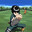 shingo