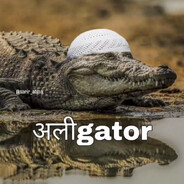 ALIgator