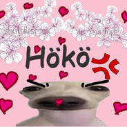 Hökö (koira)